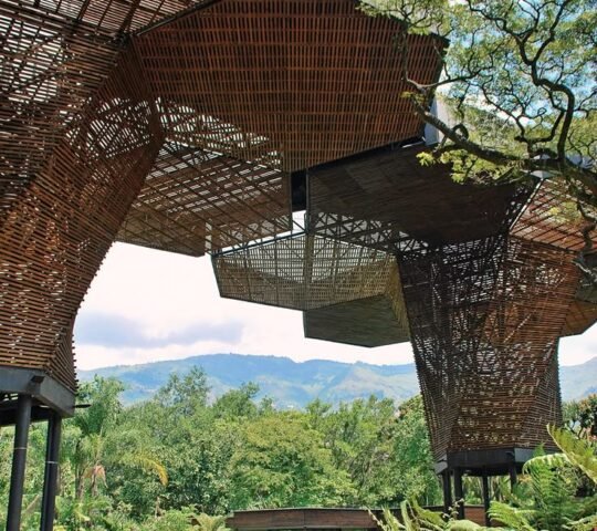 Botanical Garden