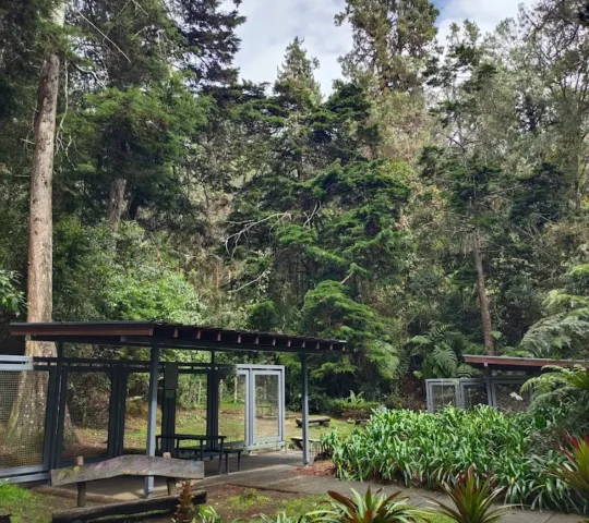 Arví Park