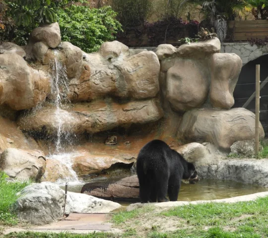 Conservation Park
